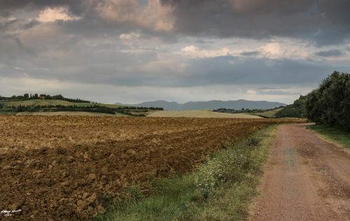 Plowed land-San Termo-Settembre 2018