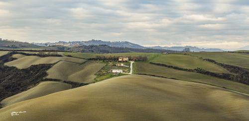 The tree farmhouses-Petriano-Dicembre 2019