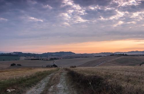 Narrow country streets-Orciano Luglio 2018