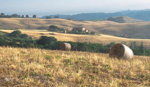 Ecasolar round bales-Chianni-Giugno 2018
