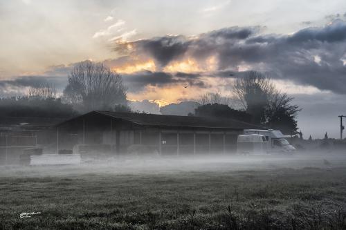 AHorse stable -Coltano-Gennaio 2020