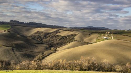 The tree farmhouses-Petriano-Dicembre 2019