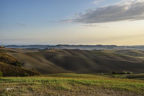 Worked hills- Lajatico Teatro del silenzio - 07-09-2019