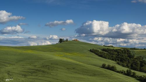 Tuscan hills in the green-Ghizzano-Maggio 2020
