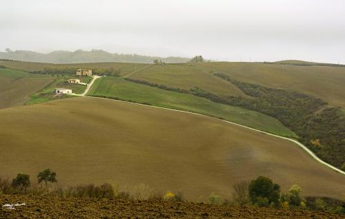 The white road-Petriano-Novembre 2018
