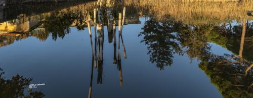 Reflexes-Lago Puccini-Ottobre 2018
