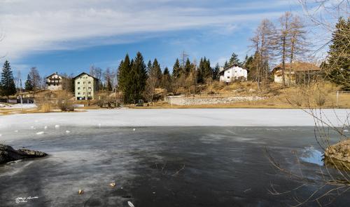 The frozen lake-Lavarone-Febbraio 2019