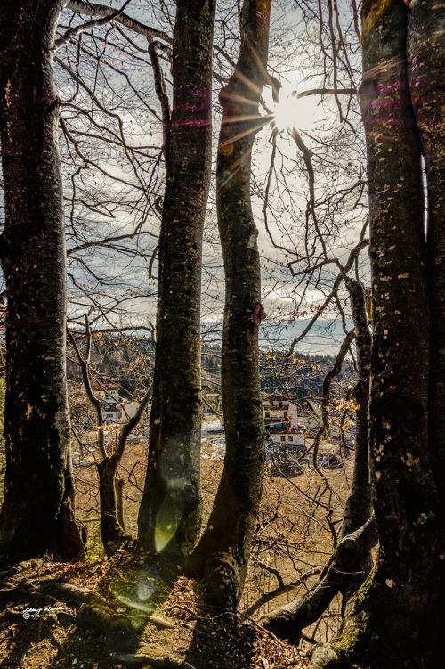 Filtration-Bertoldi TN-Marzo 2019