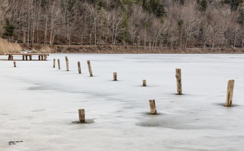 In the grip of the ice-Lavarone-Febbraio 2019